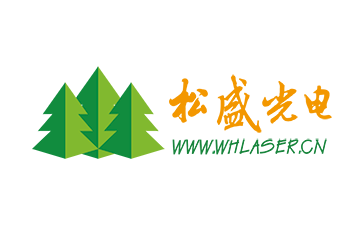 松盛光電logo 松盛光電logo